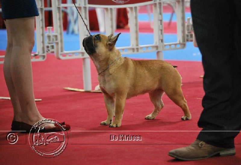 CH. Heidi Du Domaine Des Hautes Roches