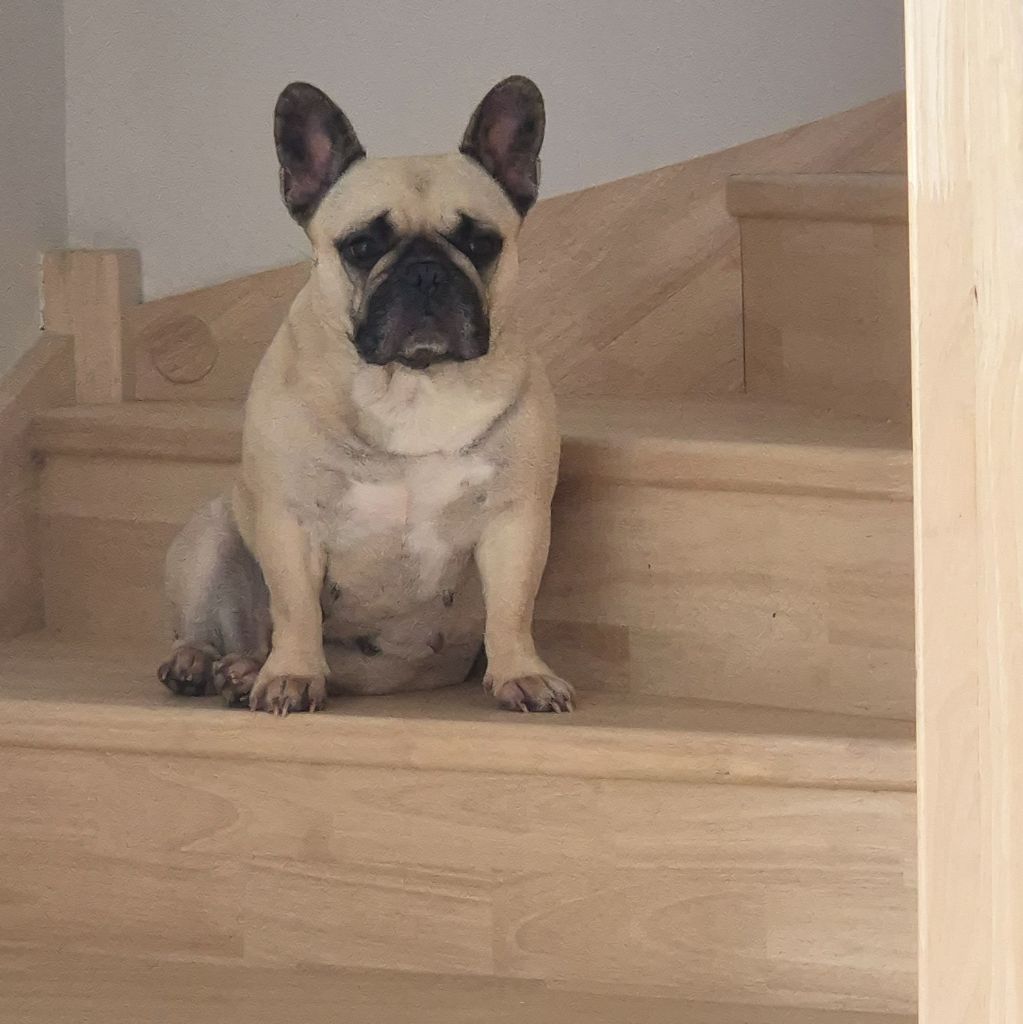 Sonia rykiel dit lolita du Chevalier Gascon