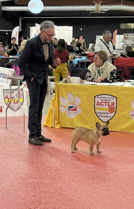 Léonardo Da Vinci action alet