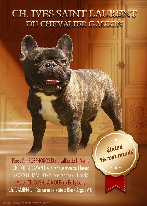 du Chevalier Gascon - Naissance......
