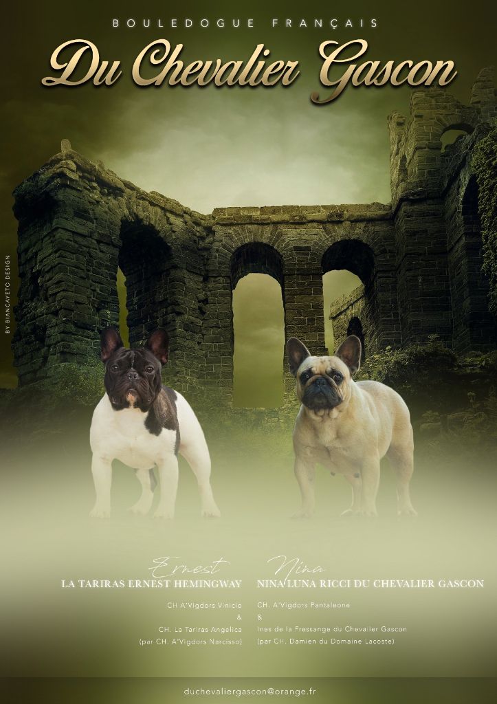 du Chevalier Gascon - Avis de Noces !!!!!