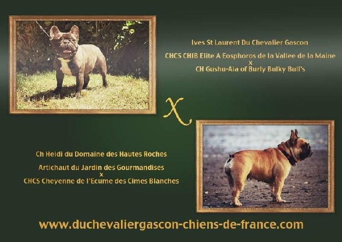 du Chevalier Gascon - Le Bonheur est Dans le Gers.........