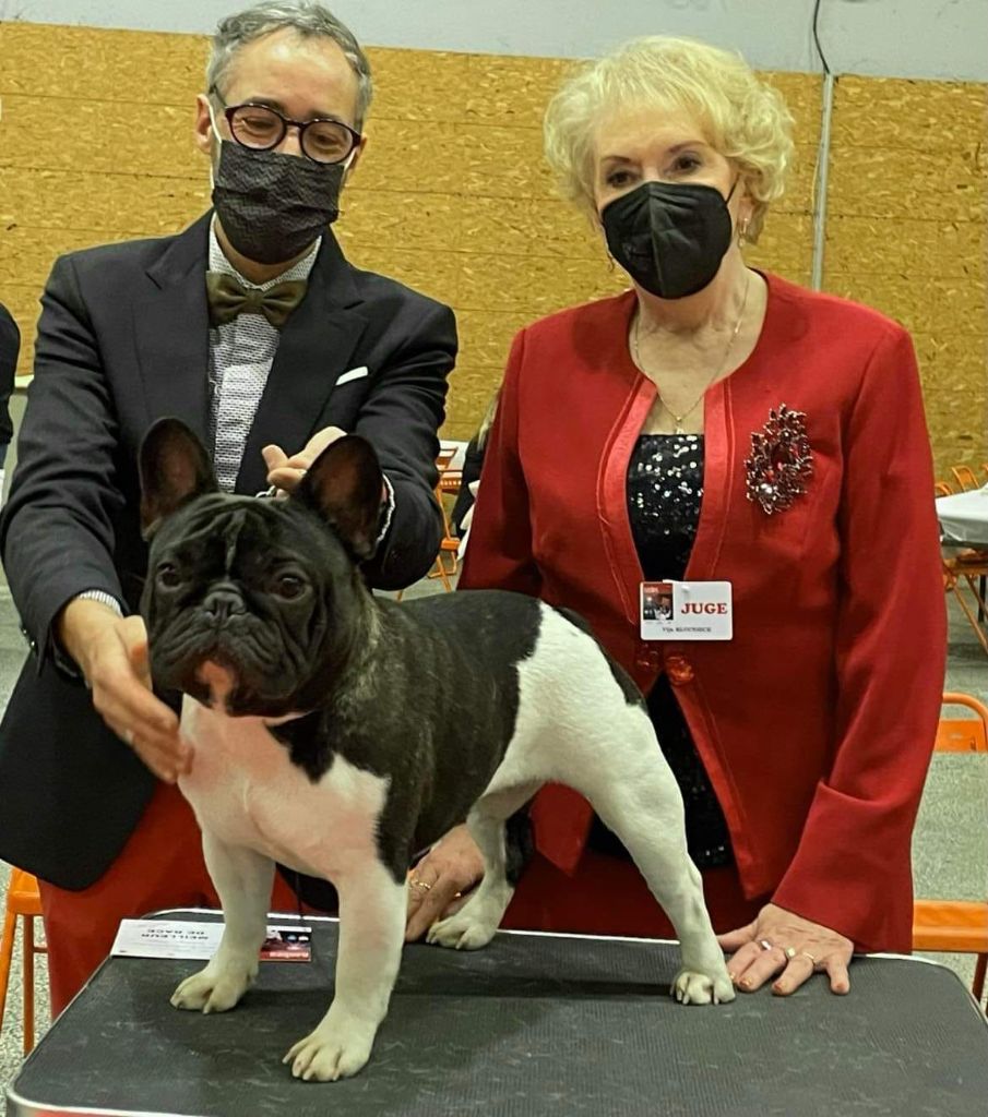 du Chevalier Gascon - Ernest !!!!!