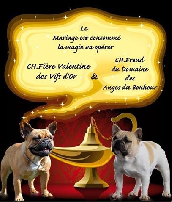 du Chevalier Gascon - Naissance de 5 Superbes Fruits à Croquer....