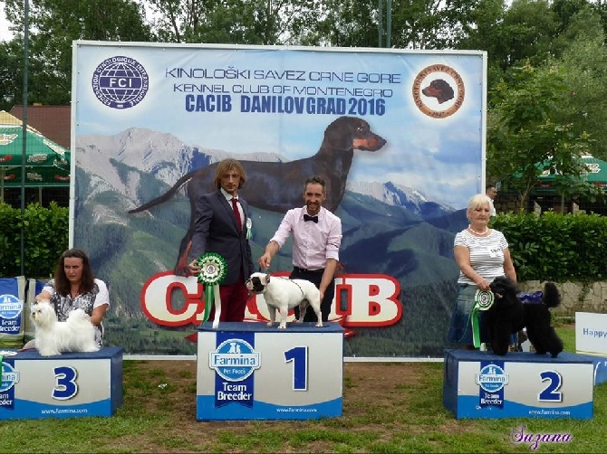 du Chevalier Gascon - De Retour de la ZETA CUP 2016 !!!