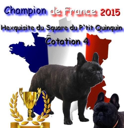 du Chevalier Gascon - De Retour du CACIB de Rouen (France)....