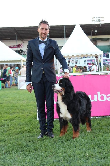 du Chevalier Gascon - Lisboa Winner 2014