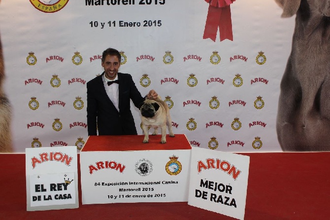 du Chevalier Gascon - De Retour de Martorell Barcelone.....