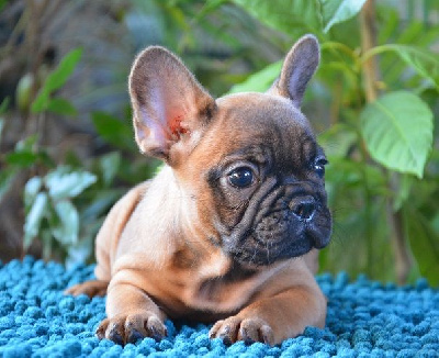 UNE REINE DU SHOPPING